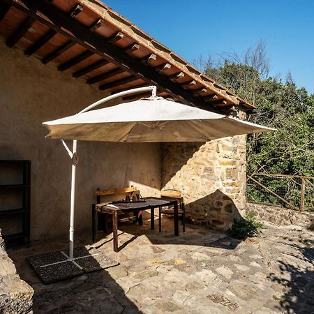 Agriturismo Santa Caterina Кастельнуово-ди-Валь-ди-Чечина Экстерьер фото
