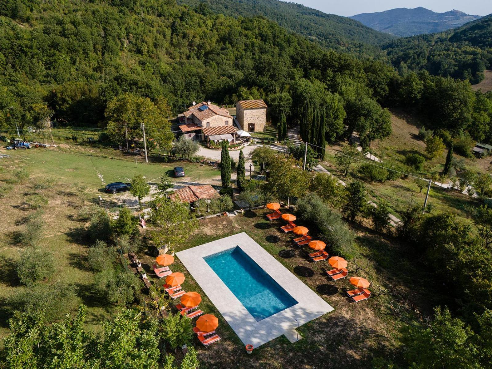 Agriturismo Santa Caterina Кастельнуово-ди-Валь-ди-Чечина Экстерьер фото