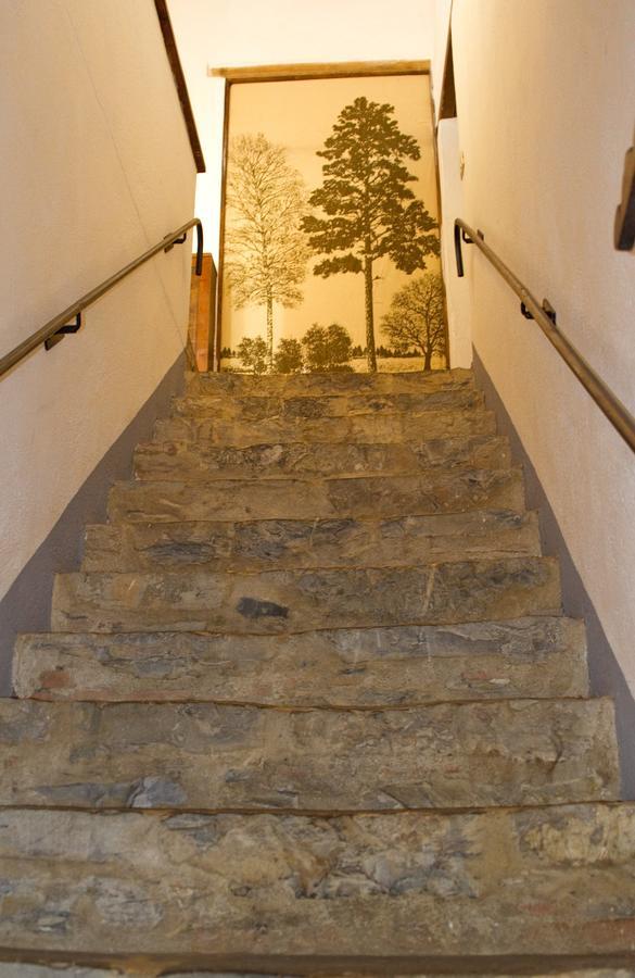 Agriturismo Santa Caterina Кастельнуово-ди-Валь-ди-Чечина Номер фото